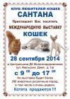 Усатый дом - спонсор международной выставки кошек, клуб 
